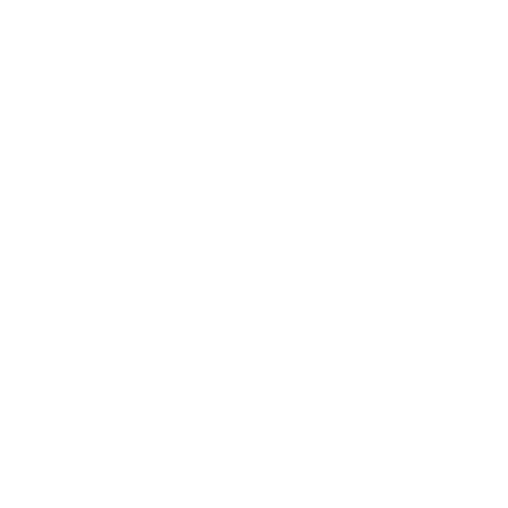 CleanSpace